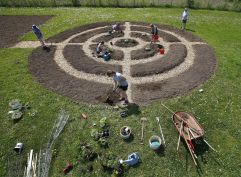 Sheet 7 curling garden